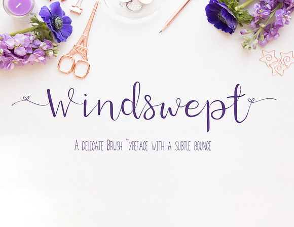 Windswept a bounce brush font in Script Fonts - product preview 1