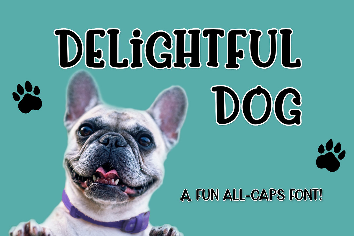 Delightful Dog in Script Fonts - product preview 8