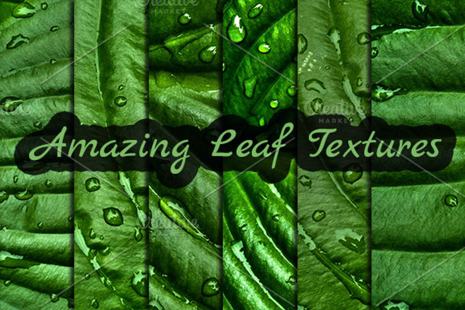 Leaf Textures in Textures - product preview 8