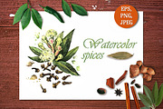 Watercolor spices