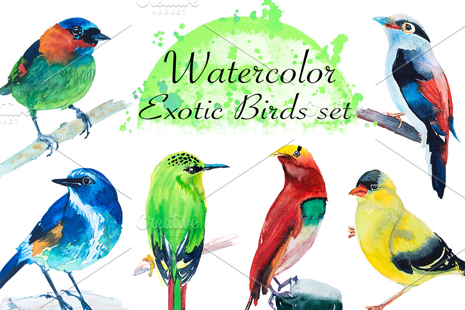Watercolor Exotic Birds set in Illustrations - product preview 8