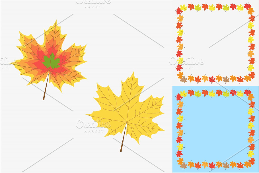 Maple leaf icons and frames in Illustrations - product preview 8