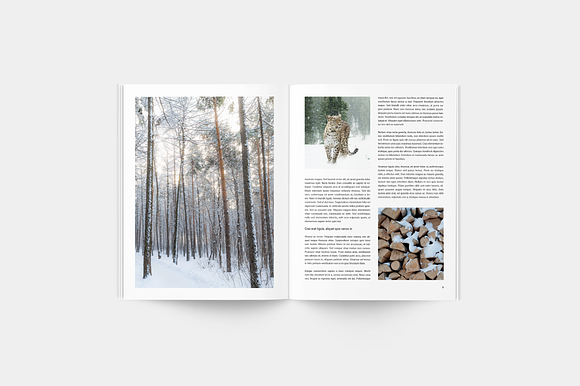 Nature Magazine in Magazine Templates - product preview 4