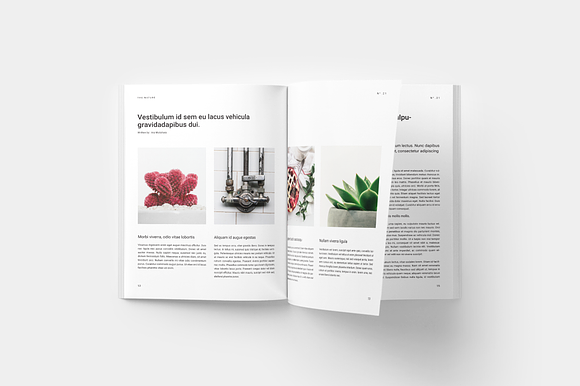 Nature Magazine in Magazine Templates - product preview 6