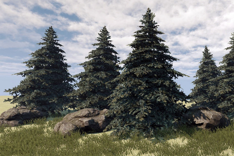 Fir Tree in Environment - product preview 8