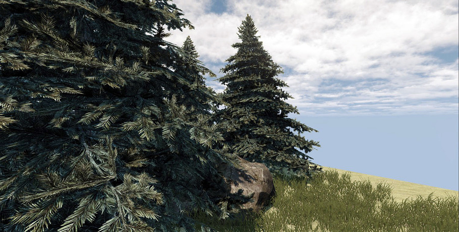 Fir Tree in Environment - product preview 1