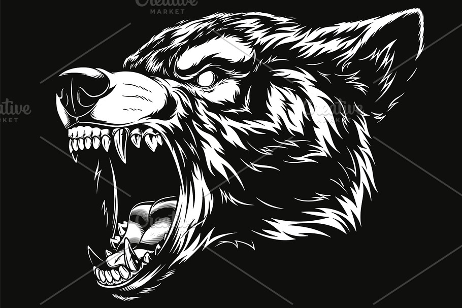 Head of the ferocious wolf  in Illustrations - product preview 8
