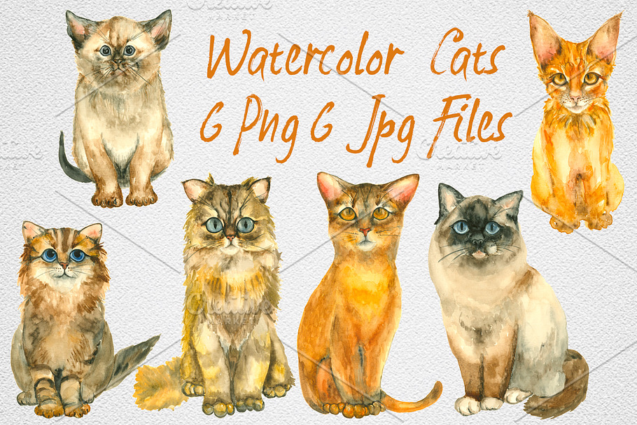 6 Cats by watercolor