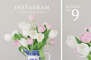 Instagram Bundle: Tulip Styled Stock