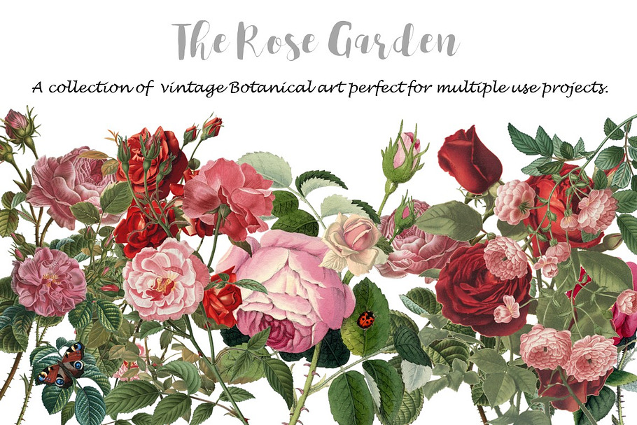 Rose Garden in Wedding Templates - product preview 8