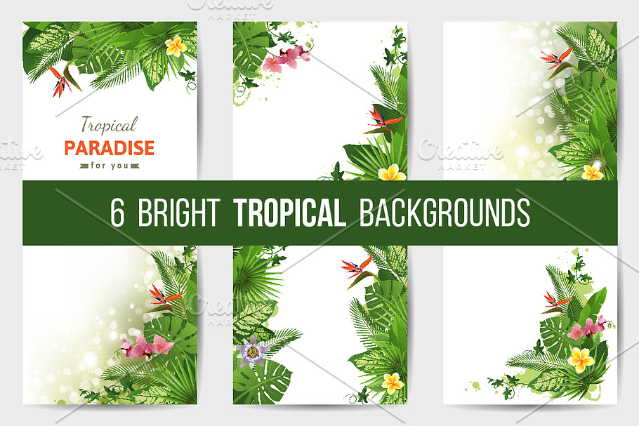 Tropical backgrounds in Illustrations - product preview 8