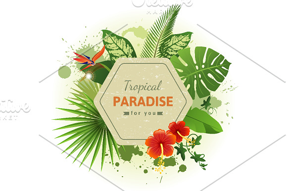 Tropical backgrounds in Illustrations - product preview 1