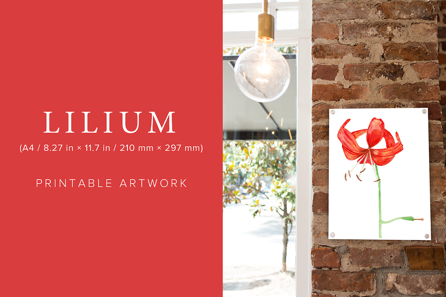 Lilium Printable Artwork
