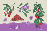 Goji illustrations and seamless