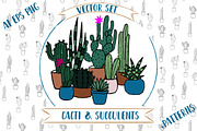 Vector Cacti and Succulents