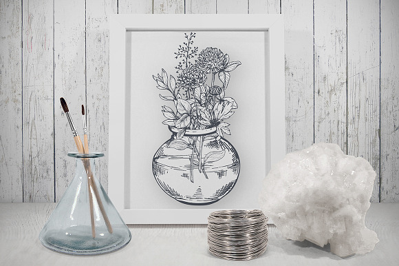 Herbs and wildflowers in Illustrations - product preview 2