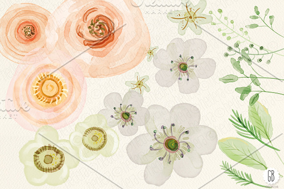 Watercolor flowers, rose, ranunculus in Illustrations - product preview 1