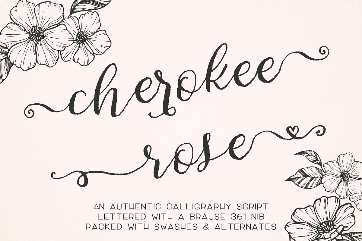 Cherokee Rose Calligraphy Script in Script Fonts - product preview 8