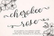 Cherokee Rose Calligraphy Script