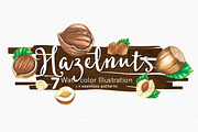 Hazelnuts Watercolors Illustration