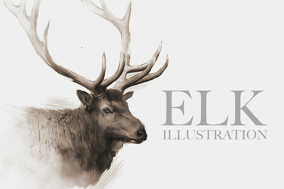 Elk Wildlife Illustration in Illustrations - product preview 8