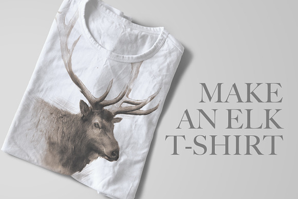 Elk Wildlife Illustration in Illustrations - product preview 1
