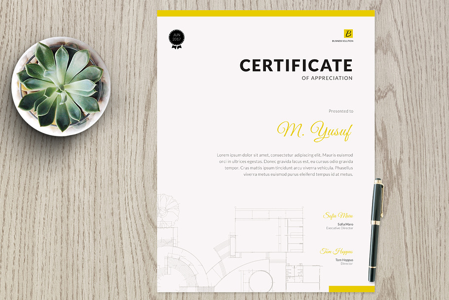 Certificate vm2 in Stationery Templates - product preview 8