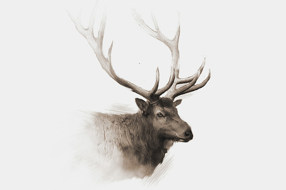 Elk Wildlife Illustration in Illustrations - product preview 4