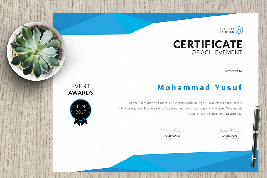 Certificate vm4 in Stationery Templates - product preview 8