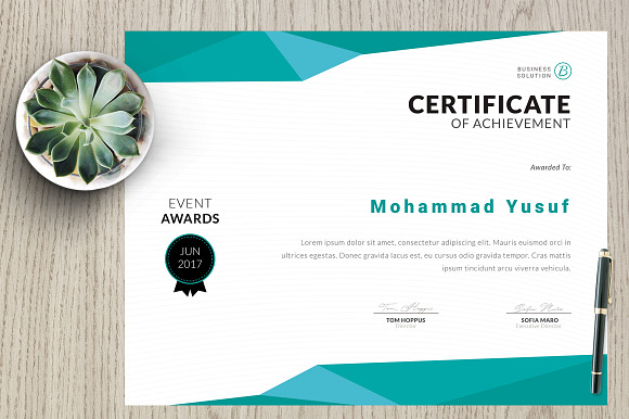 Certificate vm4 in Stationery Templates - product preview 2
