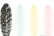 Feather Vector and PNG Graphics