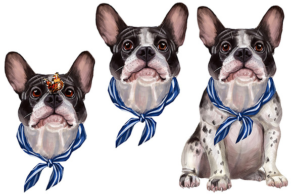 Set French Bulldog. in Illustrations - product preview 1