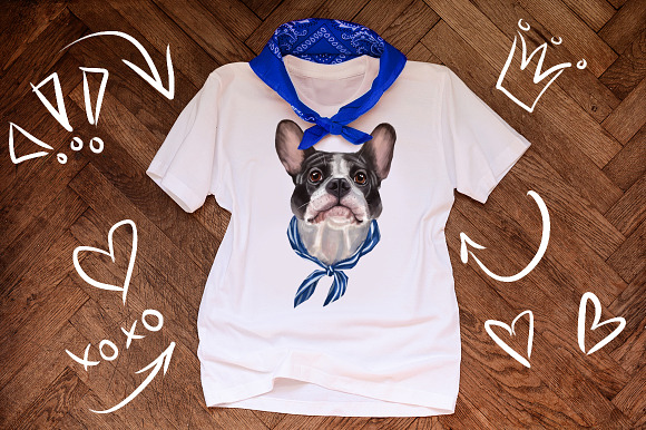 Set French Bulldog. in Illustrations - product preview 2