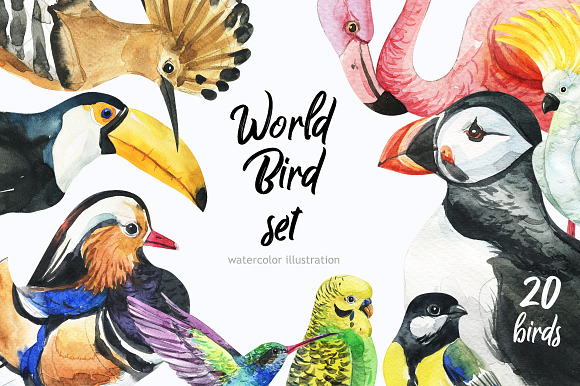 Beautifull Fly-bird set in Illustrations - product preview 2