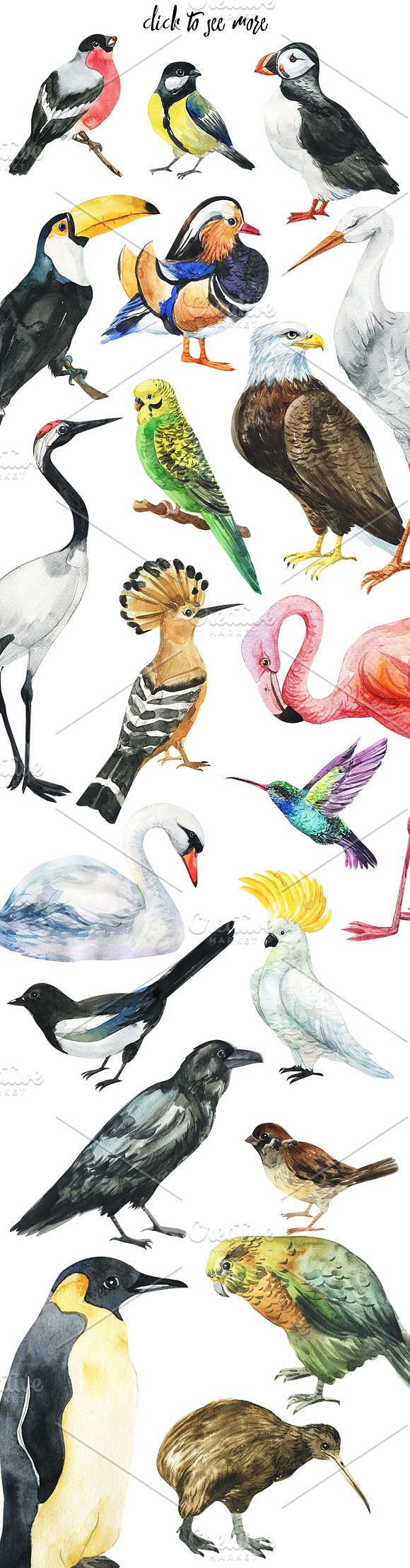 Beautifull Fly-bird set in Illustrations - product preview 3