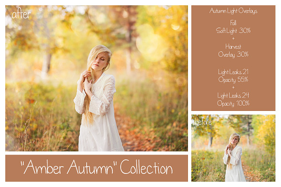 55 Dreamy Autumn Light Overlays in Textures - product preview 3