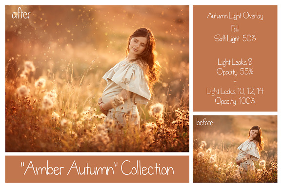 55 Dreamy Autumn Light Overlays in Textures - product preview 8