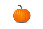 Pumpkin realistic illustration. Fresh and orange vegetable