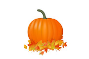 Pumpkin realistic illustration. Fresh and orange vegetable with autumn leaves