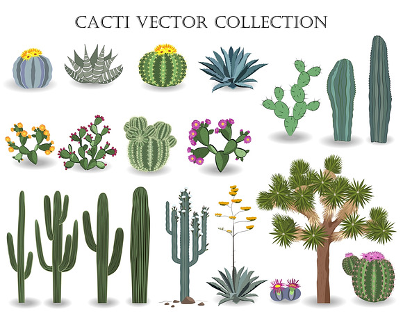 Cactus Collection in Objects - product preview 1