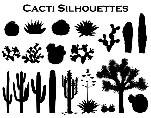 Cactus Collection in Objects - product preview 2