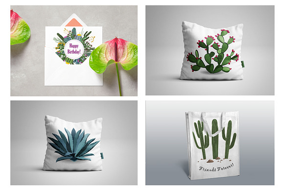 Cactus Collection in Objects - product preview 6