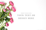 Floral Styled Stock Photography