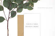 Card Mockup Styled Stock Photography