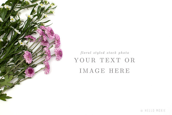 Floral Styled Stock Photography