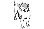 Jack Russell Terrier Standing Cartoo
