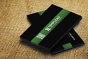 Corporate Business Card SE0250