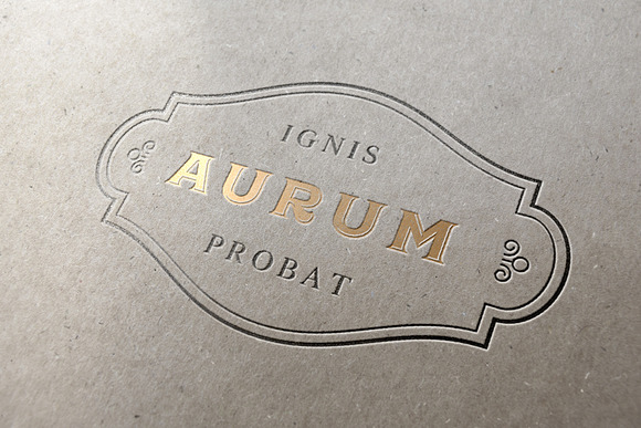 Vintage Label & Logo Templates in Logo Templates - product preview 7