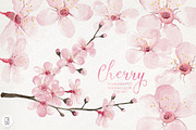 Watercolor cherry blossom, spring