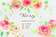Watercolor Collection Rosy
